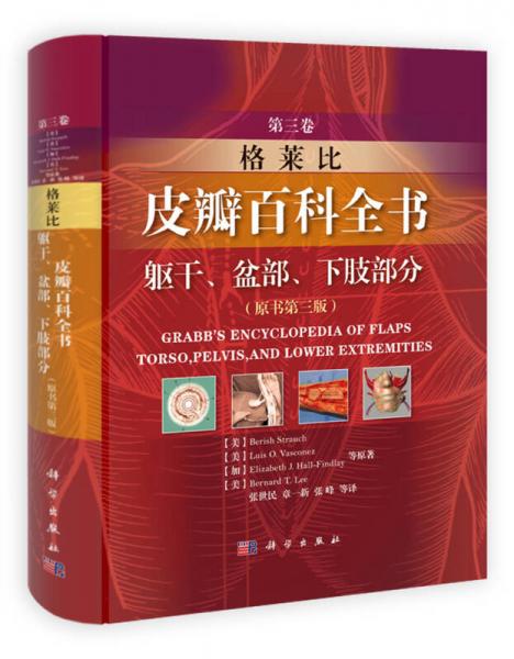 格莱比皮瓣百科全书：躯干、盆部、下肢部分（原书第三版 第3卷）