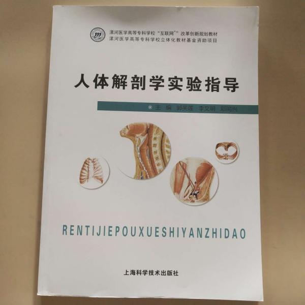 人體解剖學實驗指導