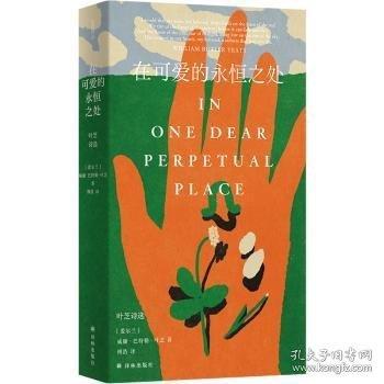 在可愛的永恒之處 葉芝詩選
