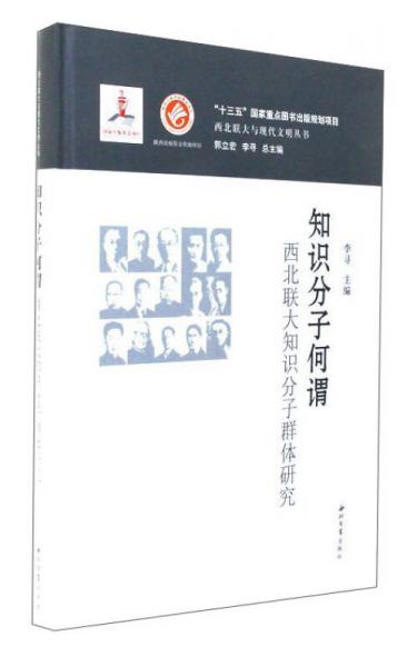 知识分子何谓：西北联大知识分子群体研究/西北联大与现代文明丛书