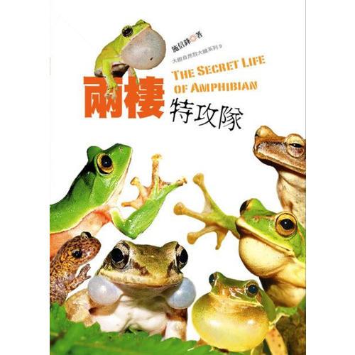 兩棲特攻隊