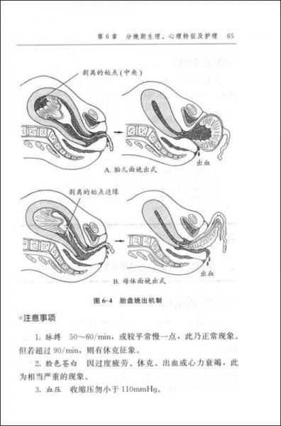 產(chǎn)科護(hù)士實(shí)習(xí)手冊