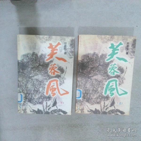 芙蓉村的紅樓夢.情夢1979-2000年(一部當今中國人40年的變遷史)