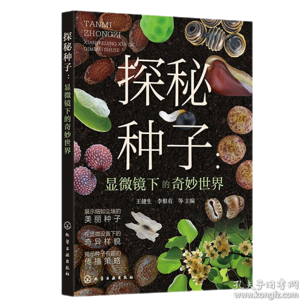 探秘種子：顯微鏡下的奇妙世界