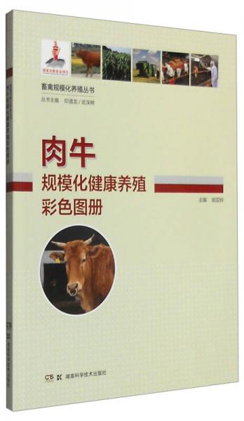 畜禽规模化养殖丛书：肉牛规模化健康养殖彩色图册