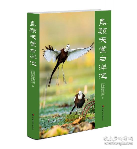 鳥類天堂白洋淀