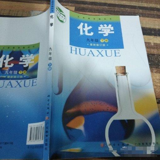 義務(wù)教育課程標(biāo)準(zhǔn)實(shí)驗(yàn)教科書. 九年級(jí)化學(xué)．下冊(cè)