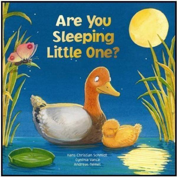 Are You Sleeping Little One [Board Book]
