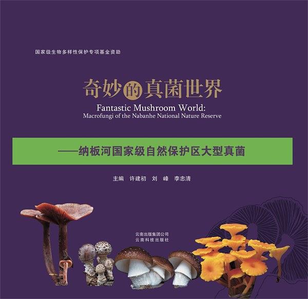 奇妙的真菌世界