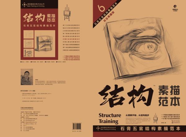 6石膏五官結(jié)構(gòu)素描范本