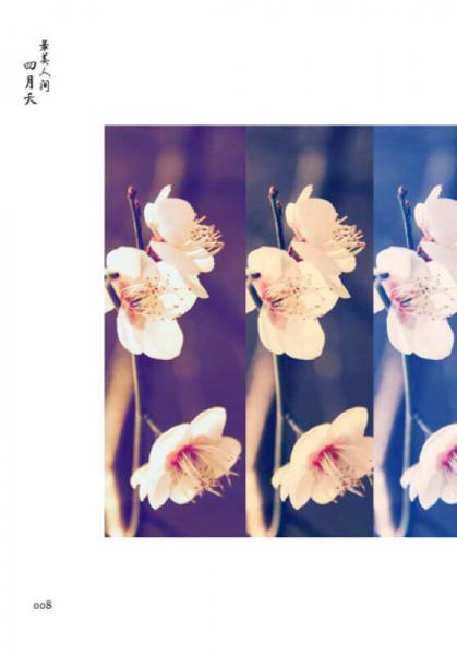 最美人间四月天