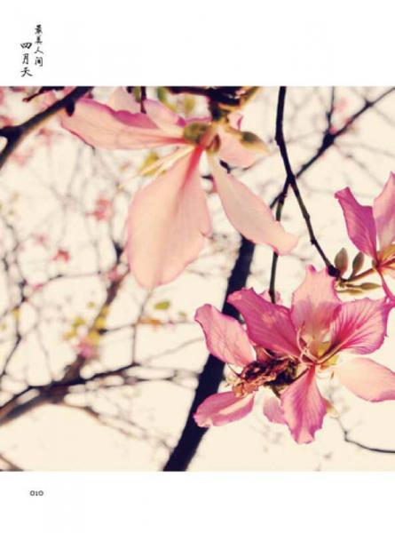 最美人间四月天