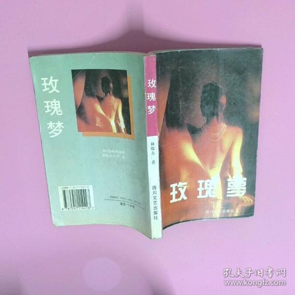 正版二手图书玫瑰梦实拍图当天发货