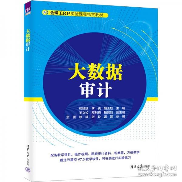 大數(shù)據(jù)審計(jì)