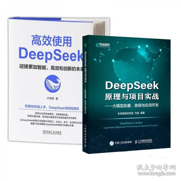 DeepSeek原理與項目實戰(zhàn)大模型部署、微調(diào)與應(yīng)用開發(fā)