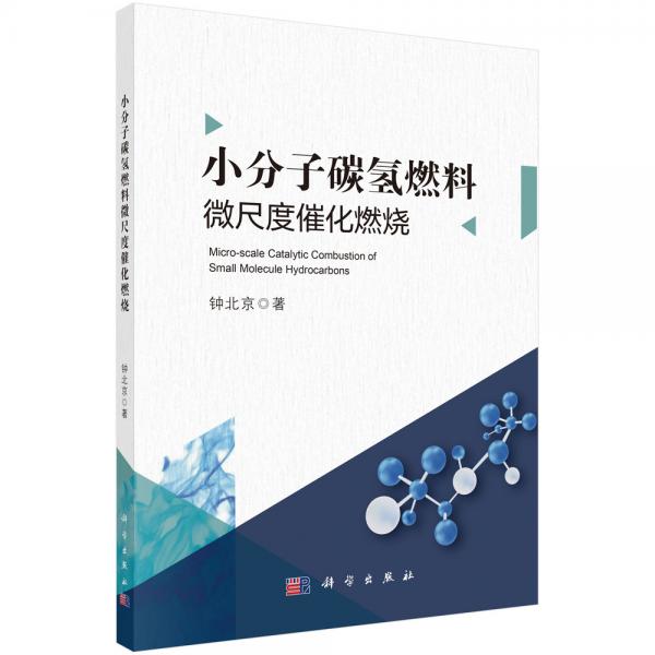 小分子碳氫燃料微尺度催化燃燒