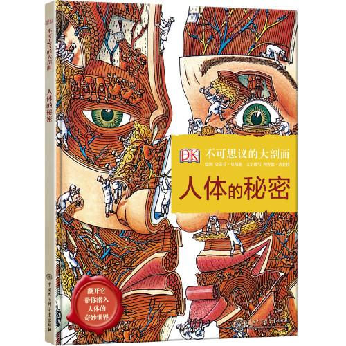 DK不可思议的大剖面