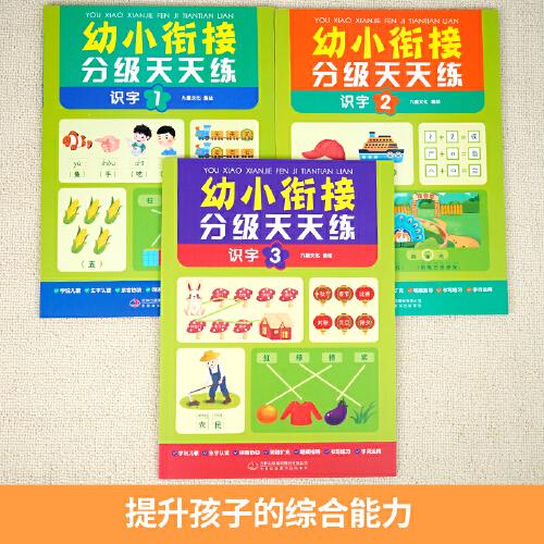 幼小衔接分级天天练-识字训练（全3册） 每天一练由浅入深 轻轻松松上小学