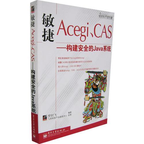敏捷Acegi、CAS