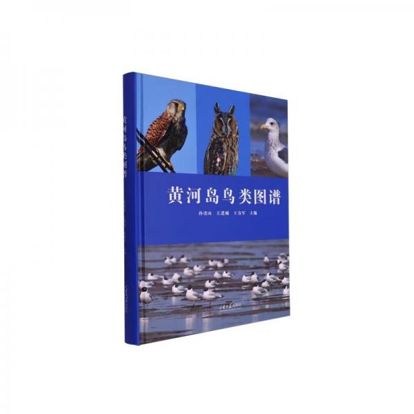 全新正版圖書 黃河島鳥類圖譜孫虎山山東大學(xué)出版社9787560779973