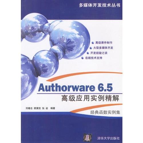 Authorware6.5高级应用实例精解:函数实例集