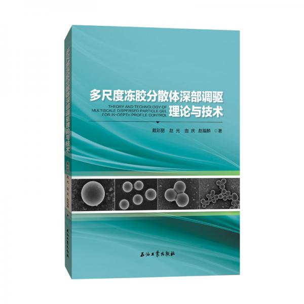 多尺度凍膠分散體深部調(diào)驅(qū)理論與技術(shù)
