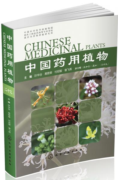 中国药用植物（二十九）