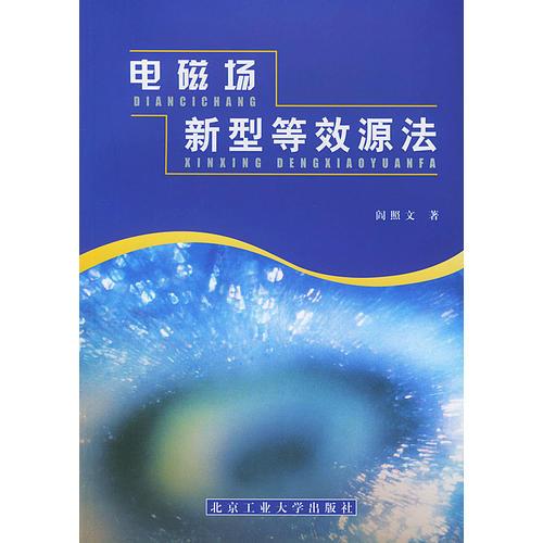 電磁場新型等效源法