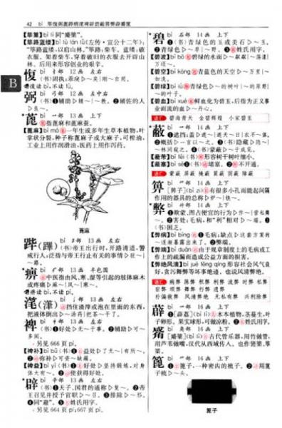 开心辞书 新课标学生专用辞书：实用现代汉语词典