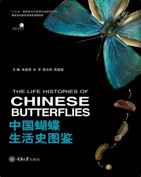 中国蝴蝶生活史图鉴