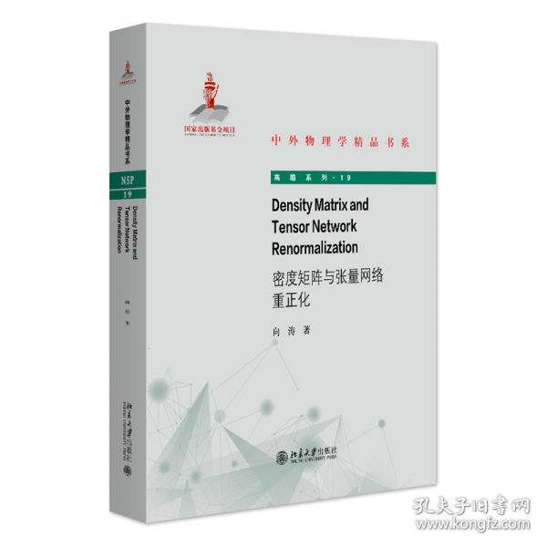 密度矩陣與張量網(wǎng)絡(luò)重正化