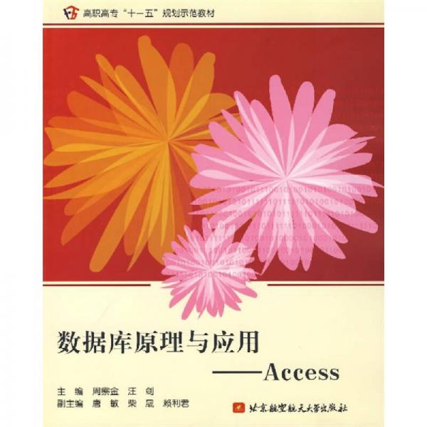 数据库原理与应用：Access