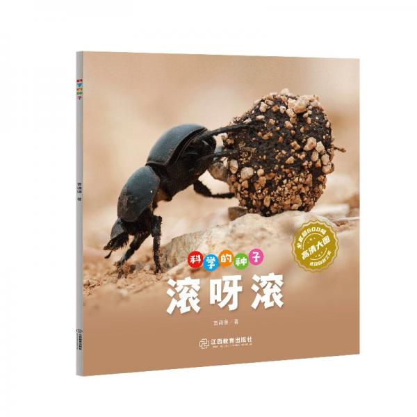 科學(xué)的種子·滾呀滾