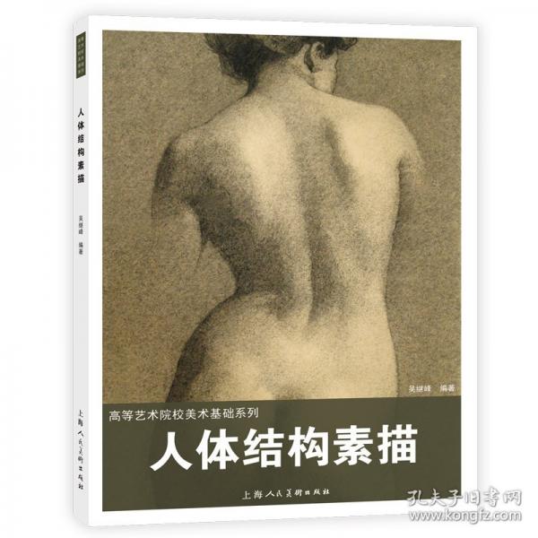高等藝術(shù)院校美術(shù)基礎(chǔ)系列——人體結(jié)構(gòu)素描