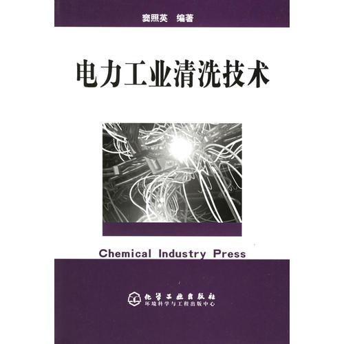 電力工業(yè)清洗技術