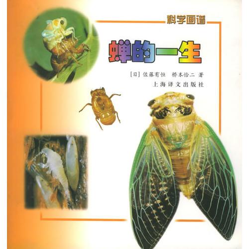 蟬的一生——科學畫譜