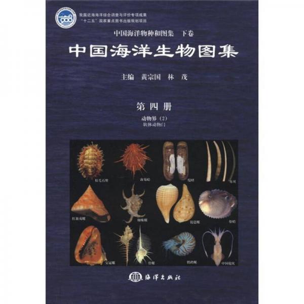 中国海洋物种和图集（下卷）·中国海洋生物图集（第4册）：动物界（2）