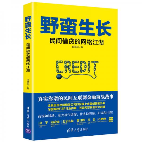 野蠻生長(zhǎng)：民間借貸的網(wǎng)絡(luò)江湖
