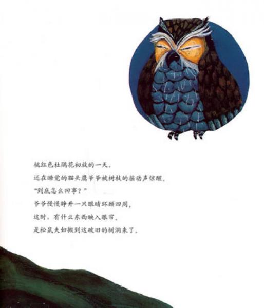 数学绘本：都到我这里来