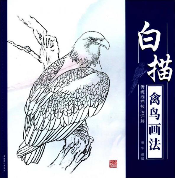 傳統(tǒng)線描技法詳解：白描禽鳥(niǎo)畫法