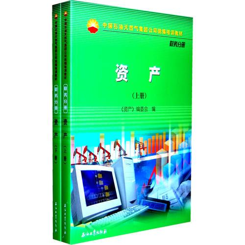中國(guó)石油天然氣股份有限公司財(cái)務(wù)培訓(xùn)教材 資產(chǎn)（上下冊(cè)）