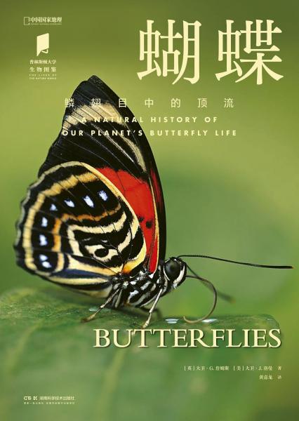 蝴蝶