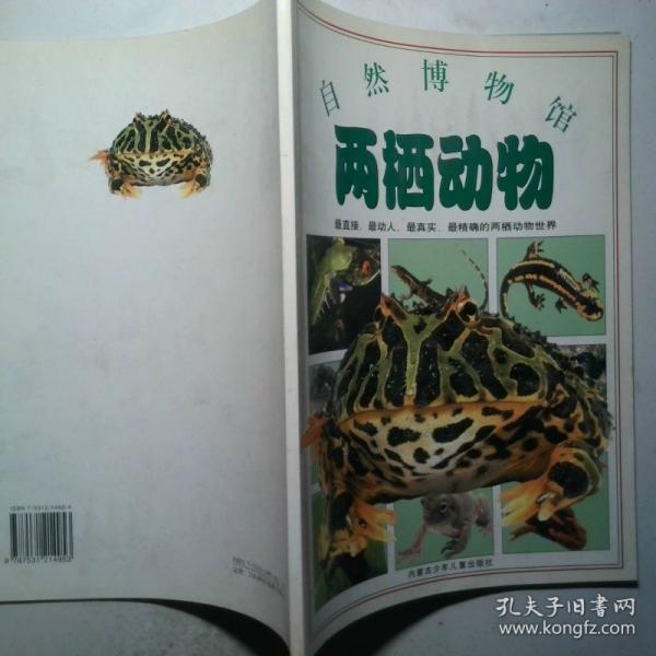 自然博物館 兩棲動(dòng)物