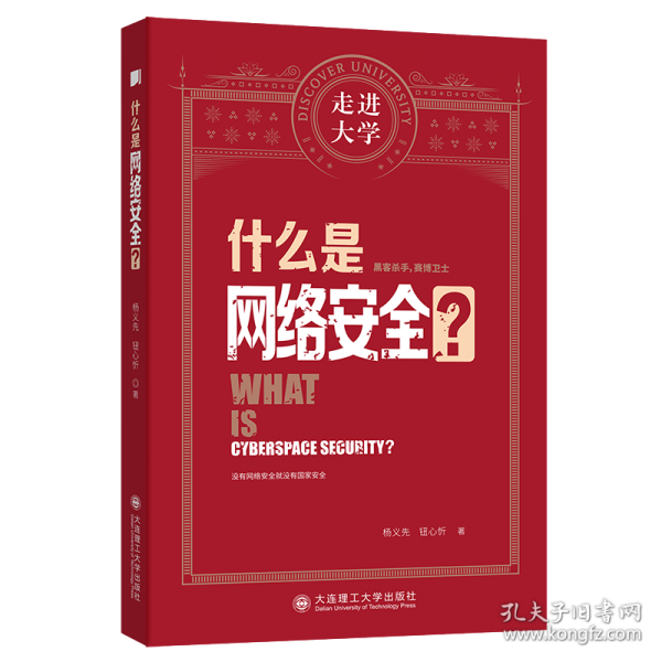 什么是网络安全 走进大学系列丛书