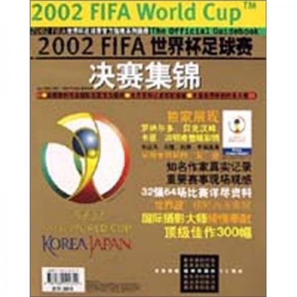 2002FIFA世界杯足球赛决赛集锦