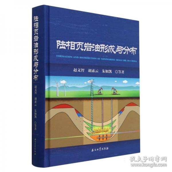 陸相頁巖油形成與分布(精)