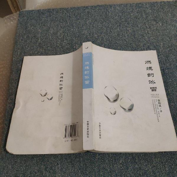 燃燒的冰雪 : 中篇小說集