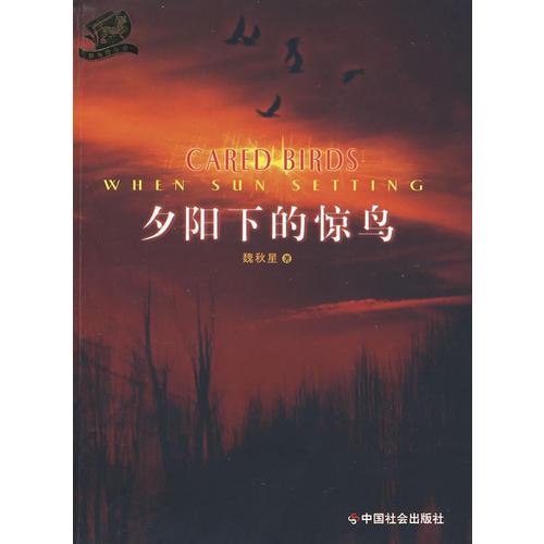 夕阳下的惊鸟