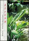 暴雨中的寧靜 : 