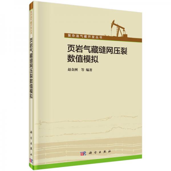页岩气藏缝网压裂数值模拟